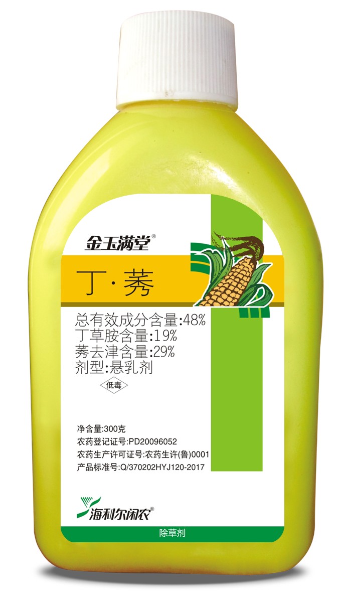 金玉满堂